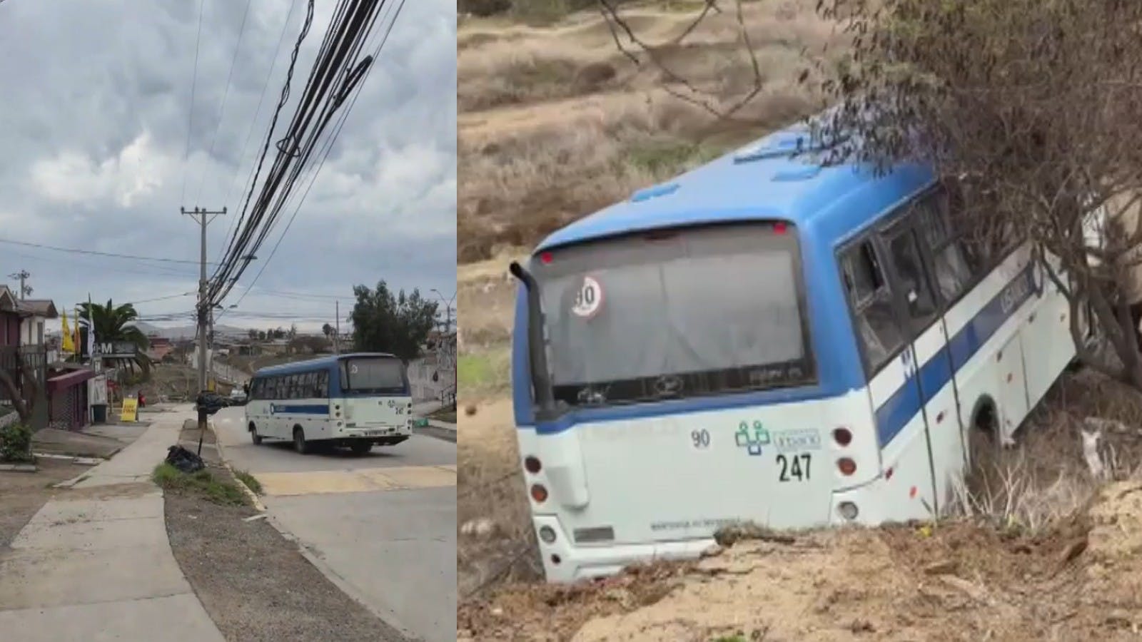 "¡Salgan!": Impresionante registro de micro cayendo a zanja en Coquimbo 
