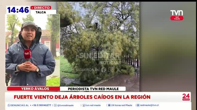 12 días lleva el Maule enfrentando la lluvia y el viento