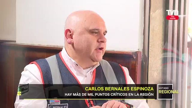 Carlos Bernales Espinoza, Director regional de Senapred