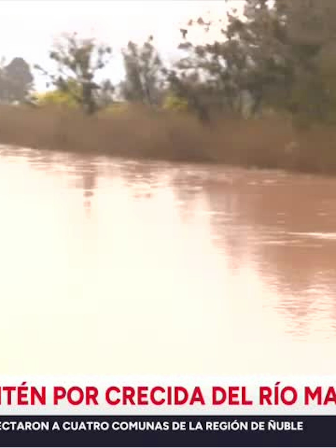 Alerta SAE activa evacuación en sector Placilla de Licantén