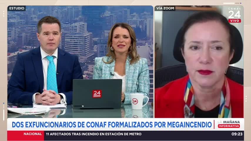 "Se pudo haber salvado vidas": Perivancich por exfuncionarios de Conaf formalizados por megaincendio