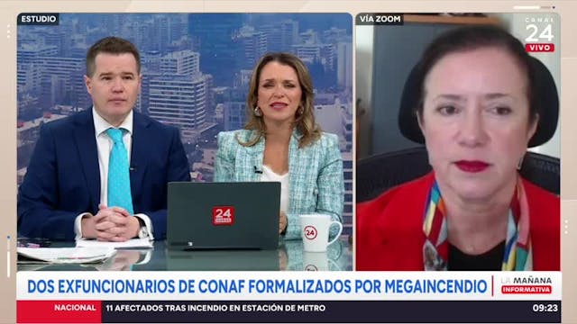"Se pudo haber salvado vidas": Perivancich por exfuncionarios de Conaf formalizados por megaincendio