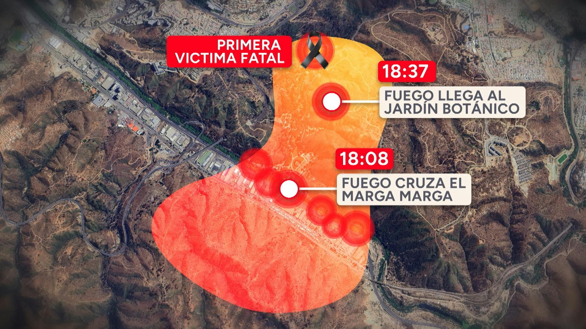 Exfuncionarios de Conaf formalizados por megaincendio de 2024