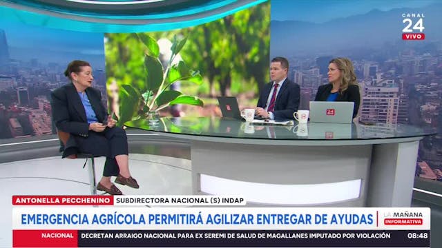 Indap y estragos por sistema frontal: "Nuestra prioridad es recuperar la inversión que se perdió"