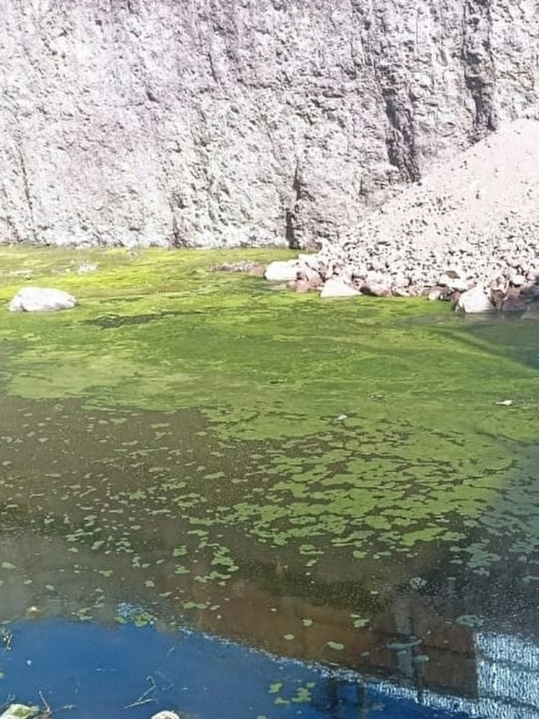 Confirman nuevo foco de aedes aegypti en Antofagasta: ya suman 18 en la región