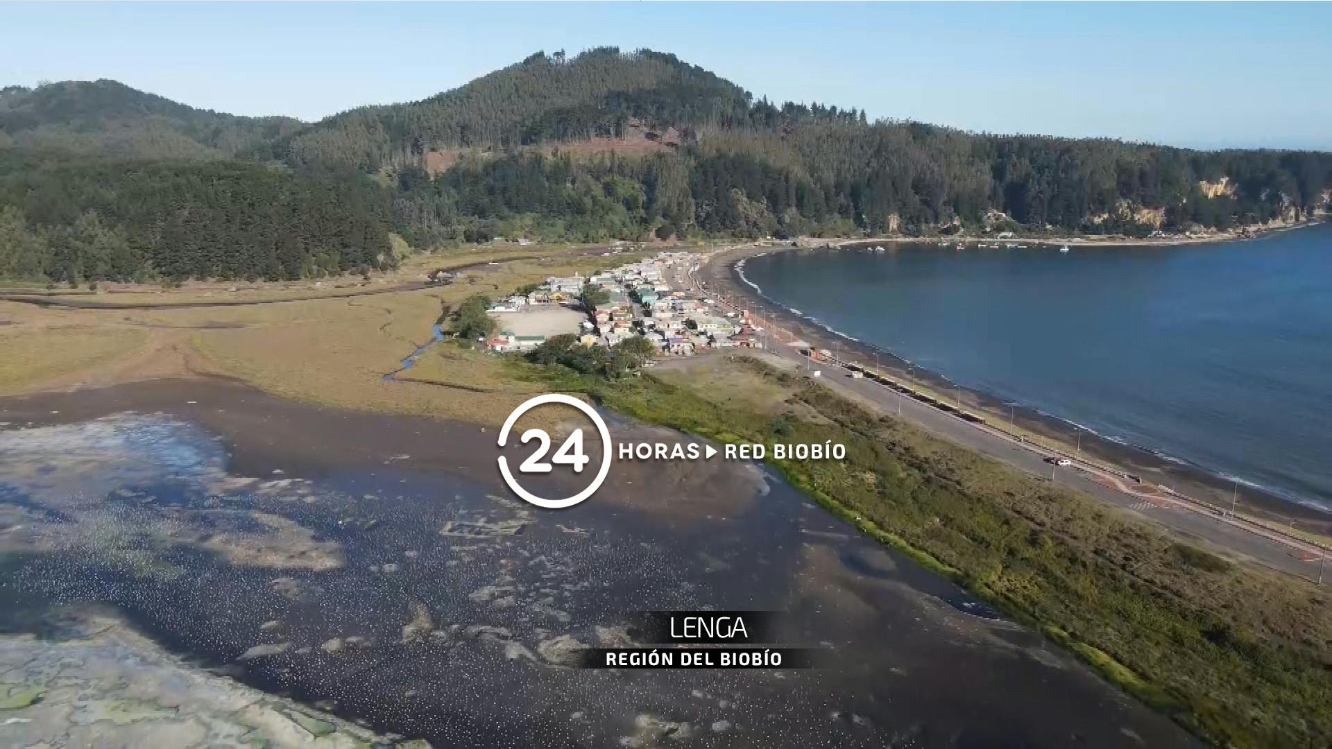 24 Horas Central Red Biobío 29 de julio 2026