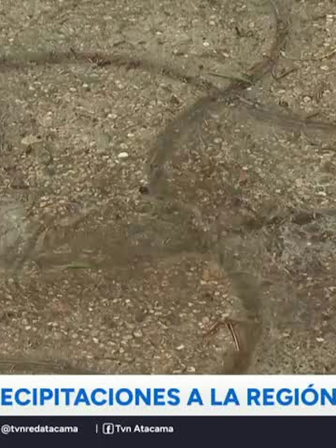 Atacama: anuncian precipitaciones para este viernes