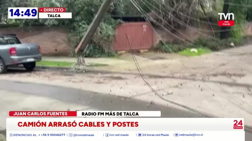 Árbol arrastró cables y derribó postes en Talca
