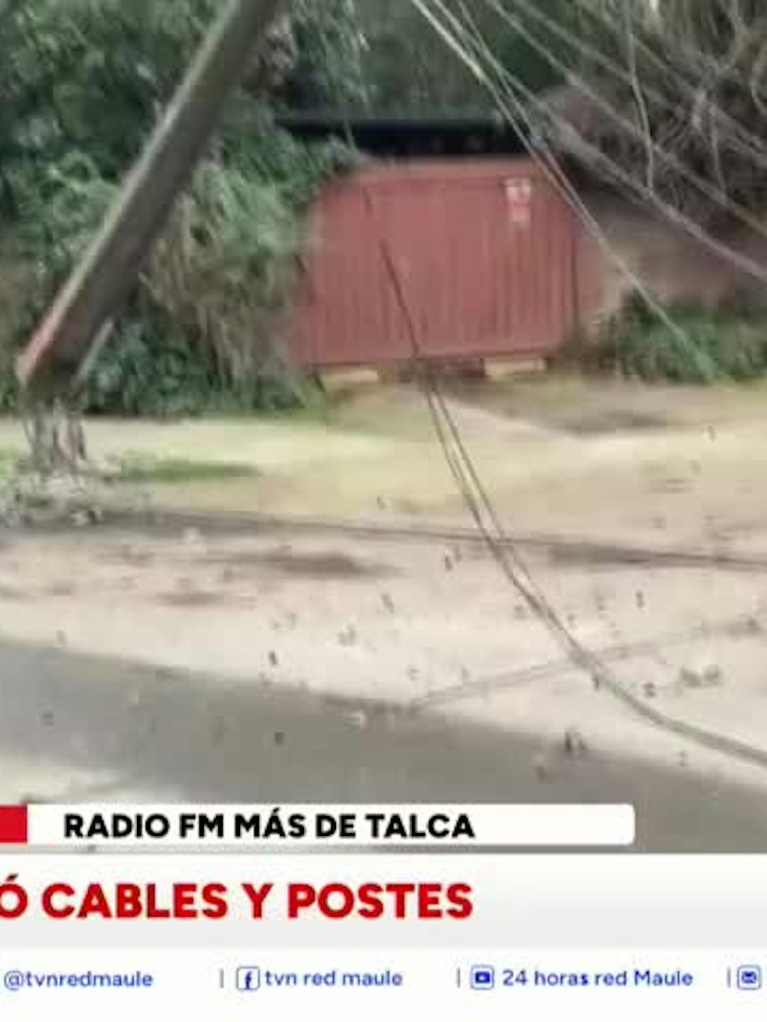 Árbol arrastró cables y derribó postes en Talca