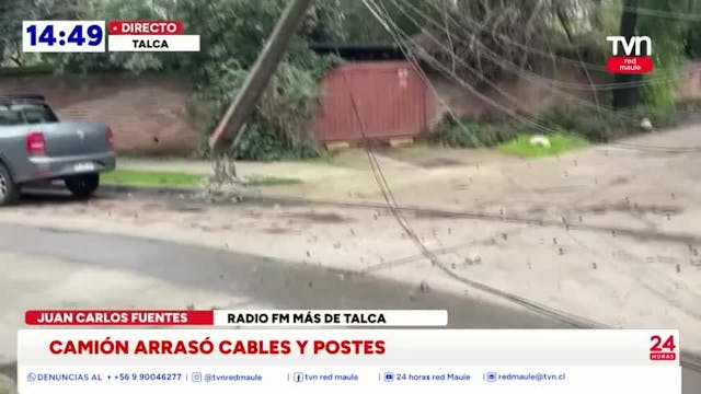 Árbol arrastró cables y derribó postes en Talca
