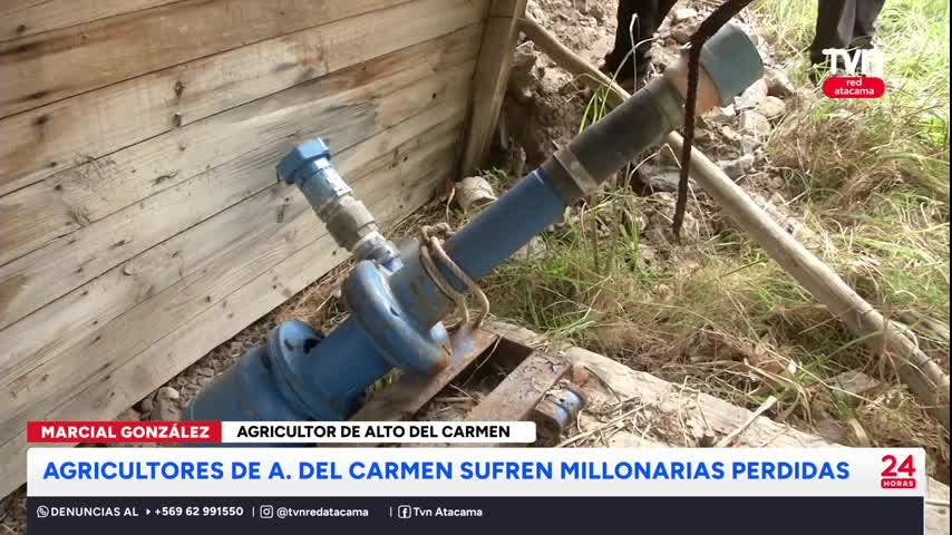 Agricultores de Alto del Carmen sufren millonarias pérdidas