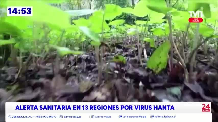 Por primera vez 