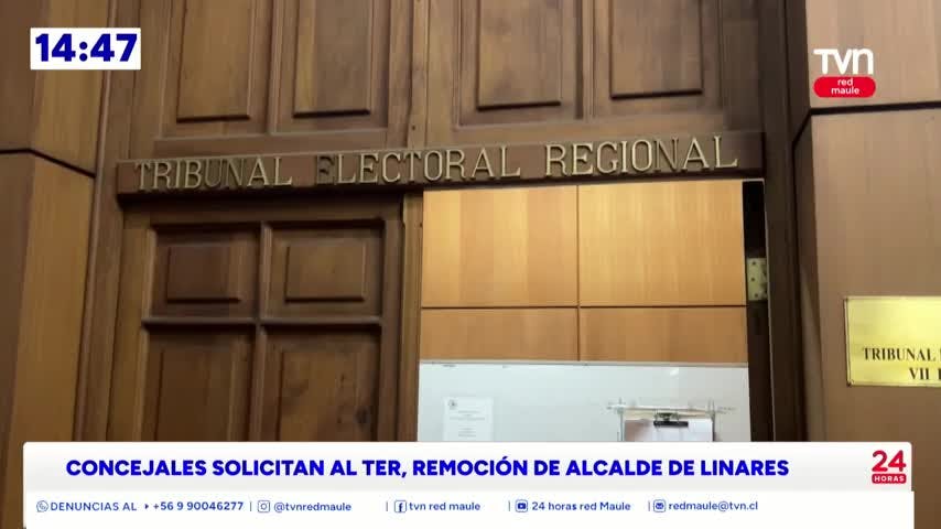 Concejales de Linares acuden al Tribunal Electoral Regional