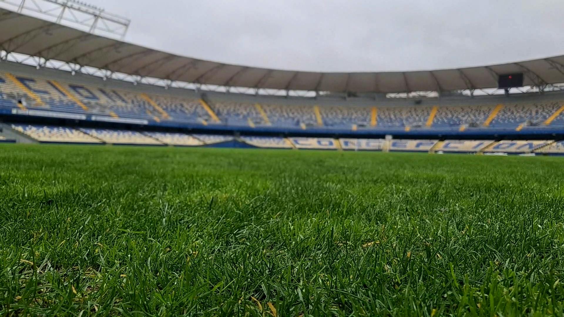 Autorizan aforo de 15 mil personas para D. Concepción - UC