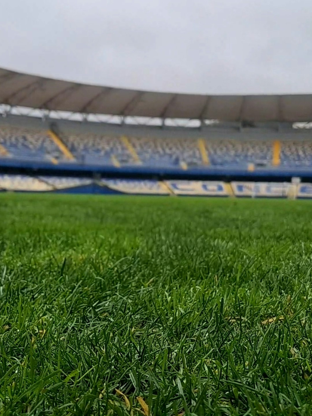 Autorizan aforo de 15 mil personas para D. Concepción - UC