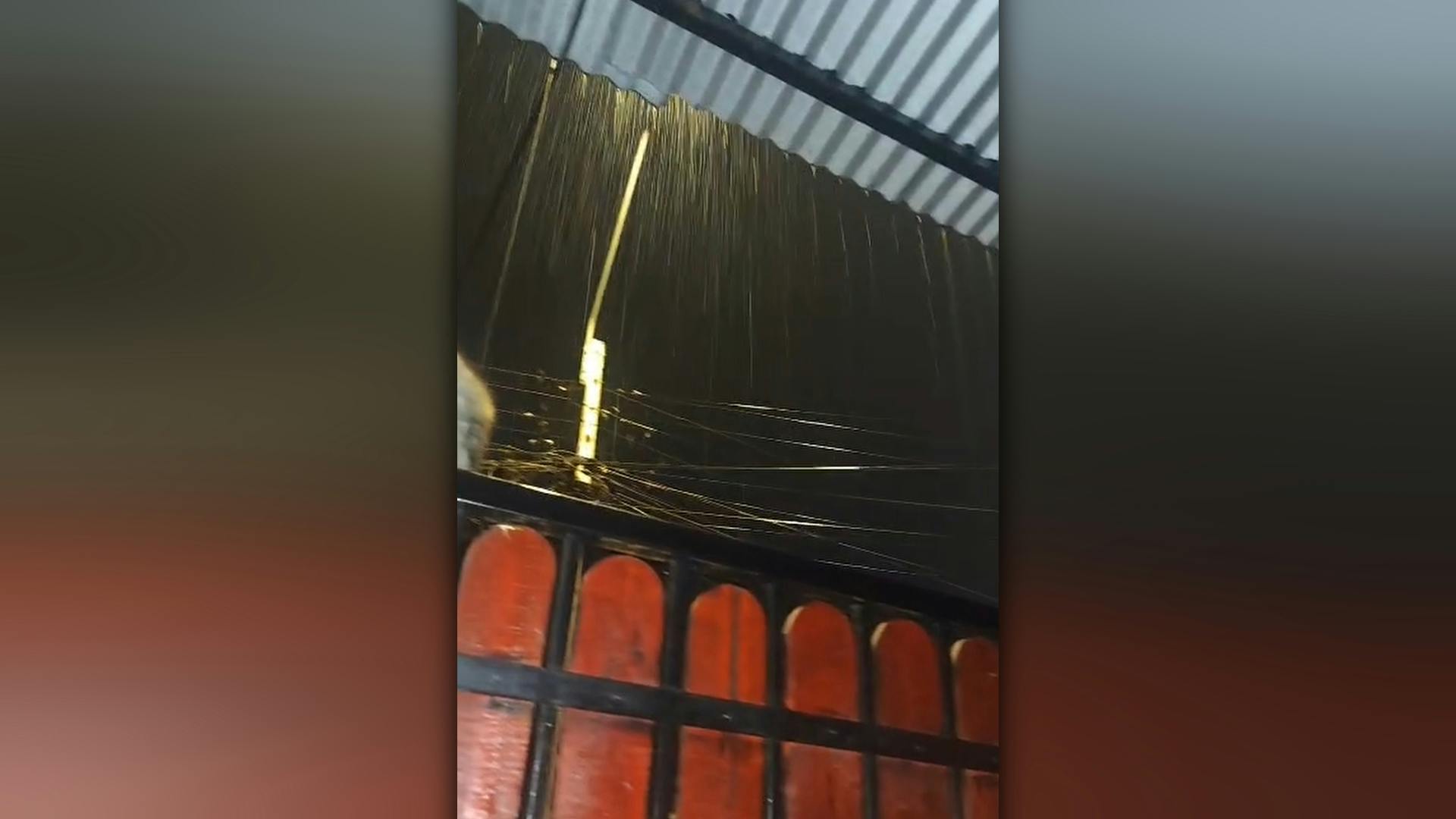 Precipitaciones en la Región de Antofagasta: Taltal concentró la mayor cantidad de lluvia