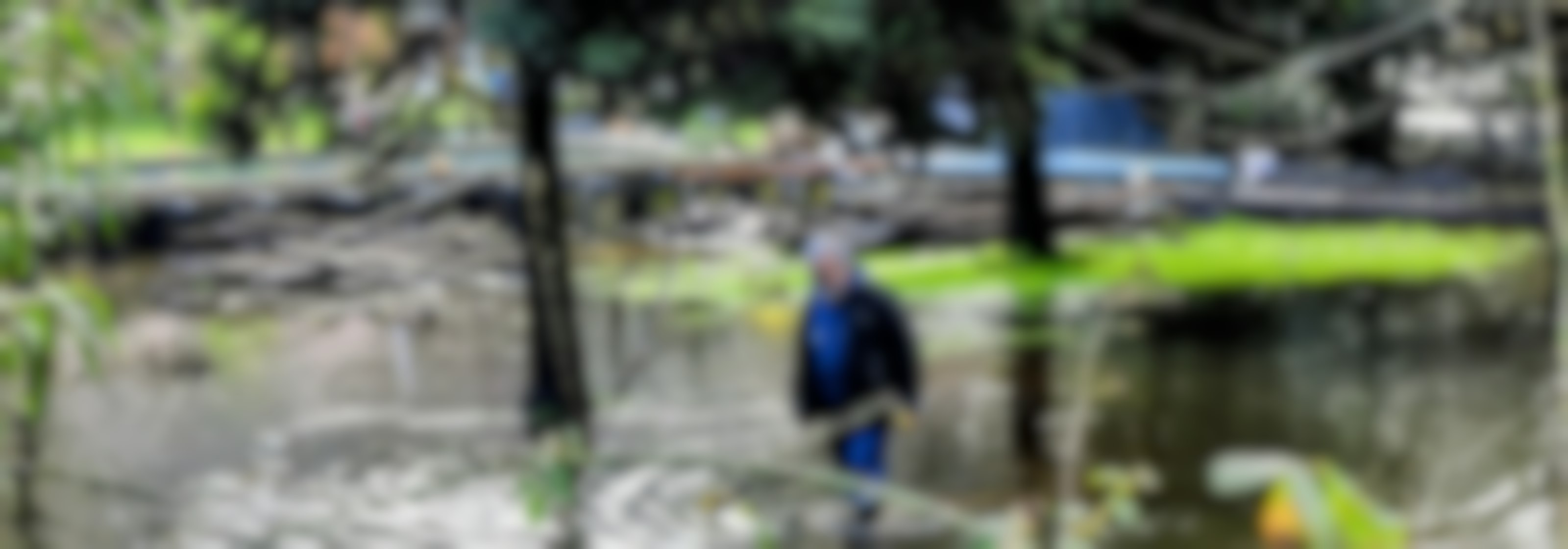 Históricas lluvias en Valdivia: Solo en julio cayeron más 850 mm de agua