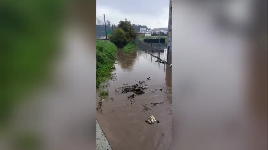 Colapso de canal anegó departamentos en Penco