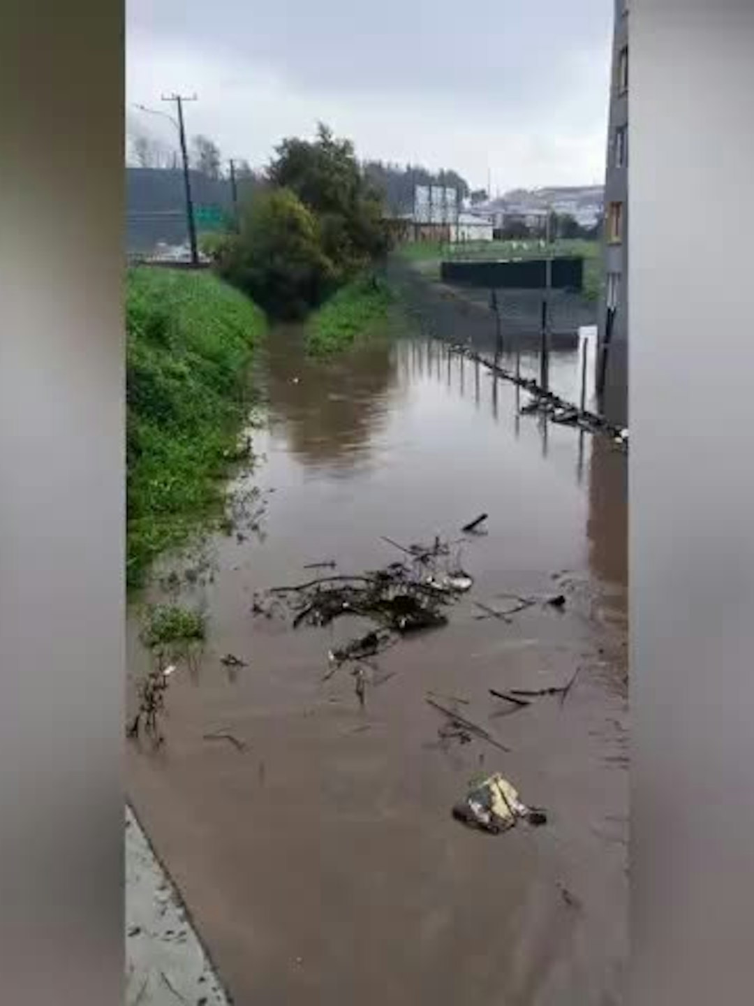 Colapso de canal anegó departamentos en Penco