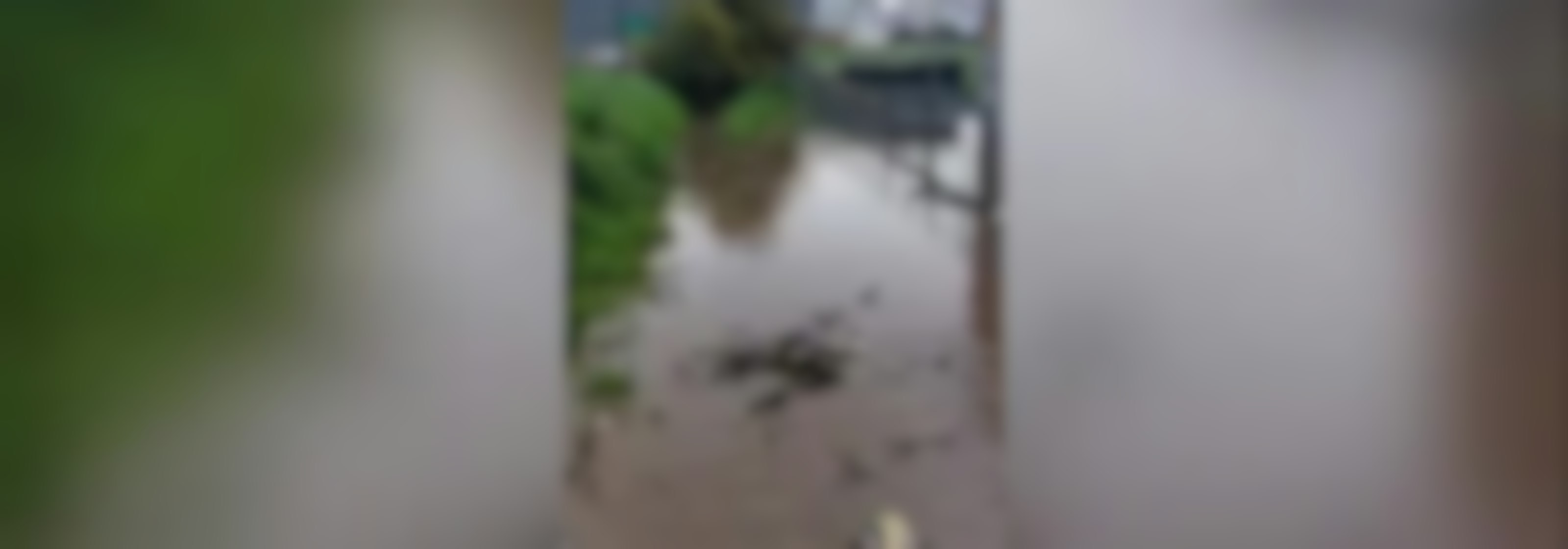 Colapso de canal anegó departamentos en Penco