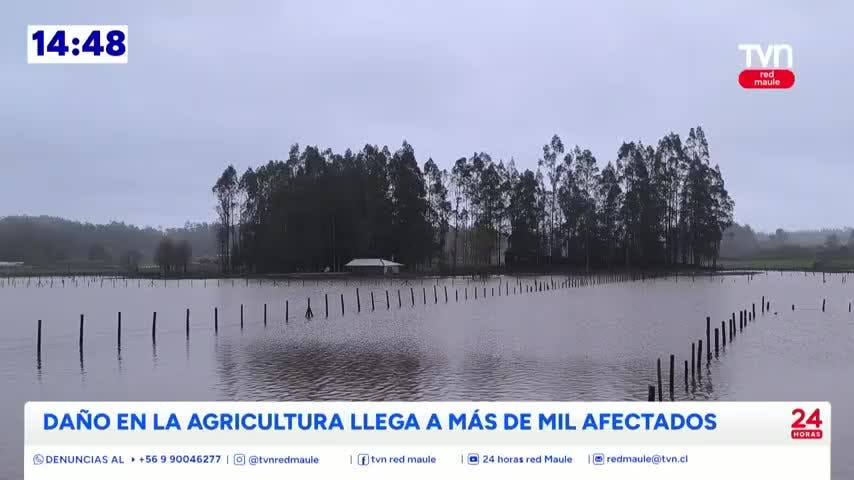  Más de 1.100 agricultores del Maule afectados por sistema frontal