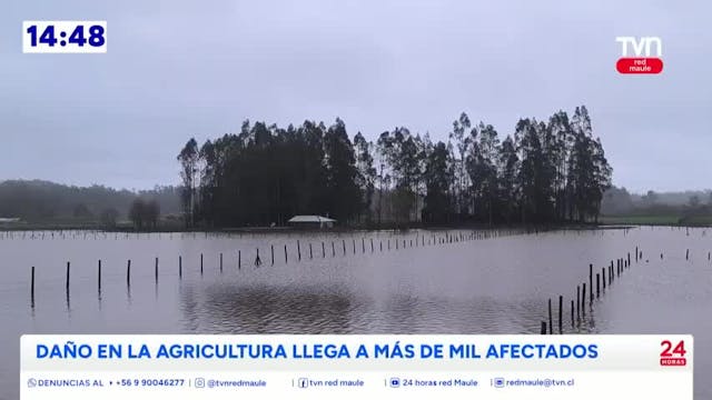 Más de 1.100 agricultores del Maule afectados por sistema frontal