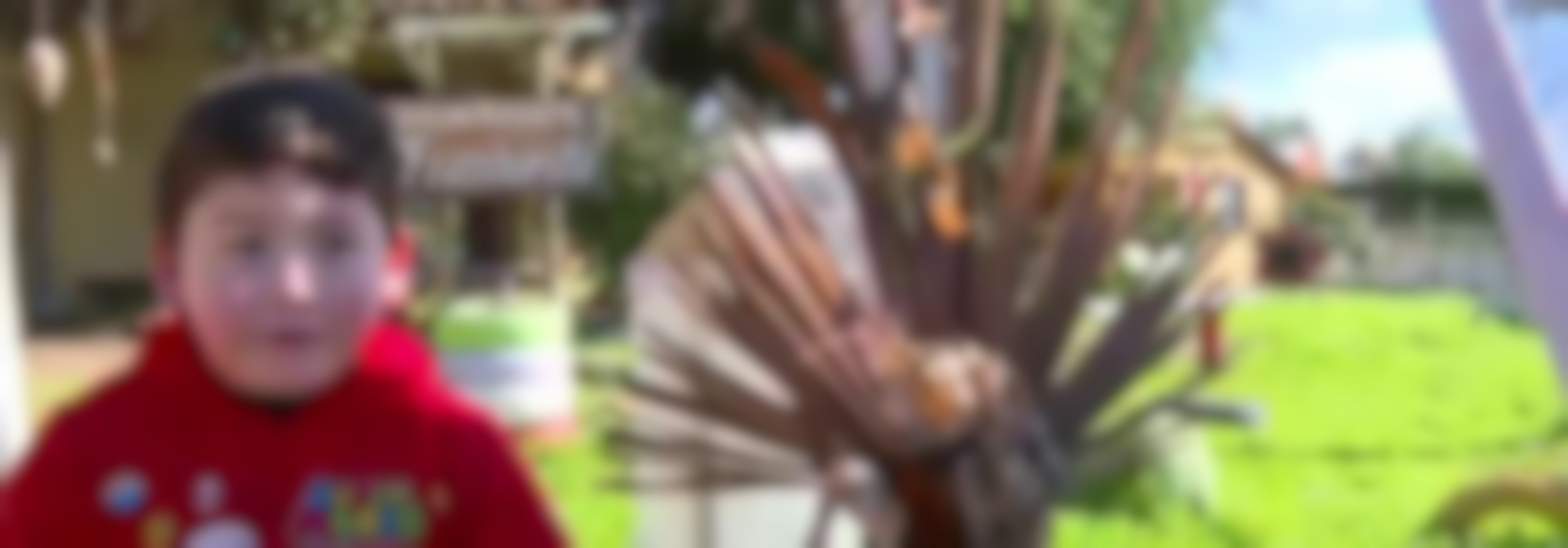 Niños se viralizaron en redes sociales por buscar compañeros para su escuela rural