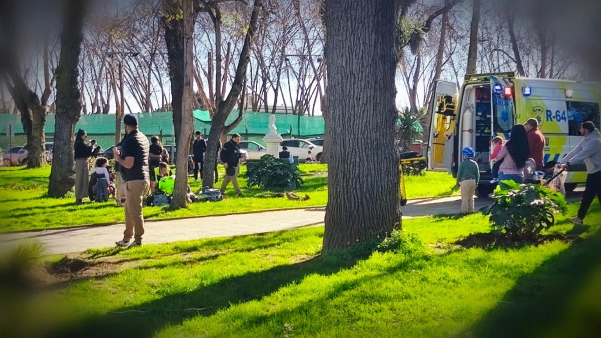 Caída de ramas obliga a cerrar parque en Limache