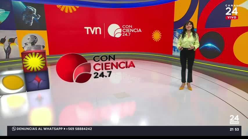 Revive Conciencia 24.7: Perros que reconocen emociones, especies en peligro y mucho más 