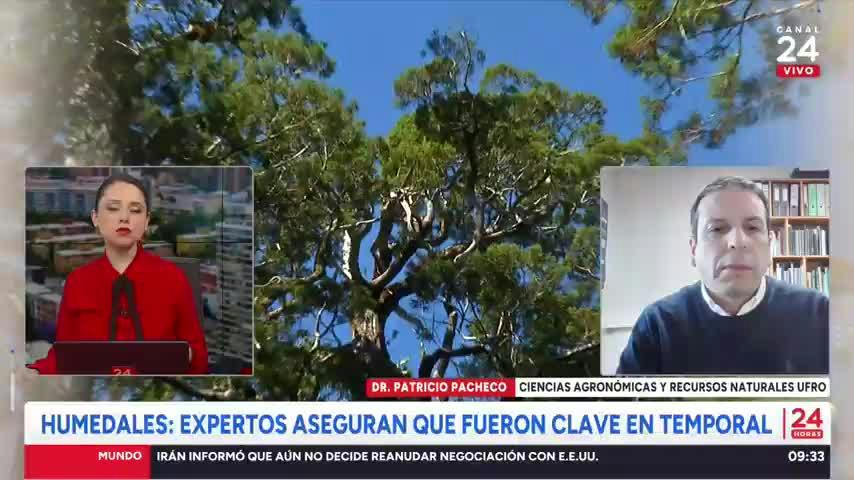Humedales: Expertos aseguran que fueron clave en el temporal