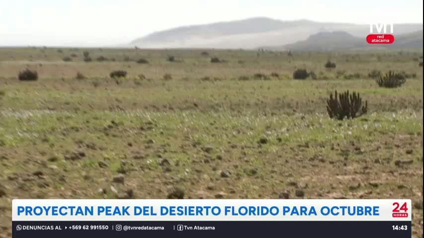 24 Horas al Día Red Atacama - 20 de Agosto 2026
