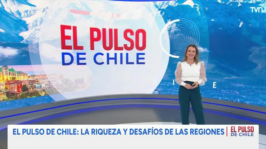 El Pulso de Chile: Brechas y desafíos de la región de Los Ríos