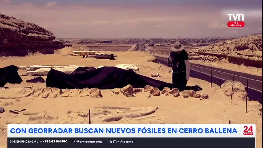 Con georradar buscan nuevos fósiles en Cerro Ballena