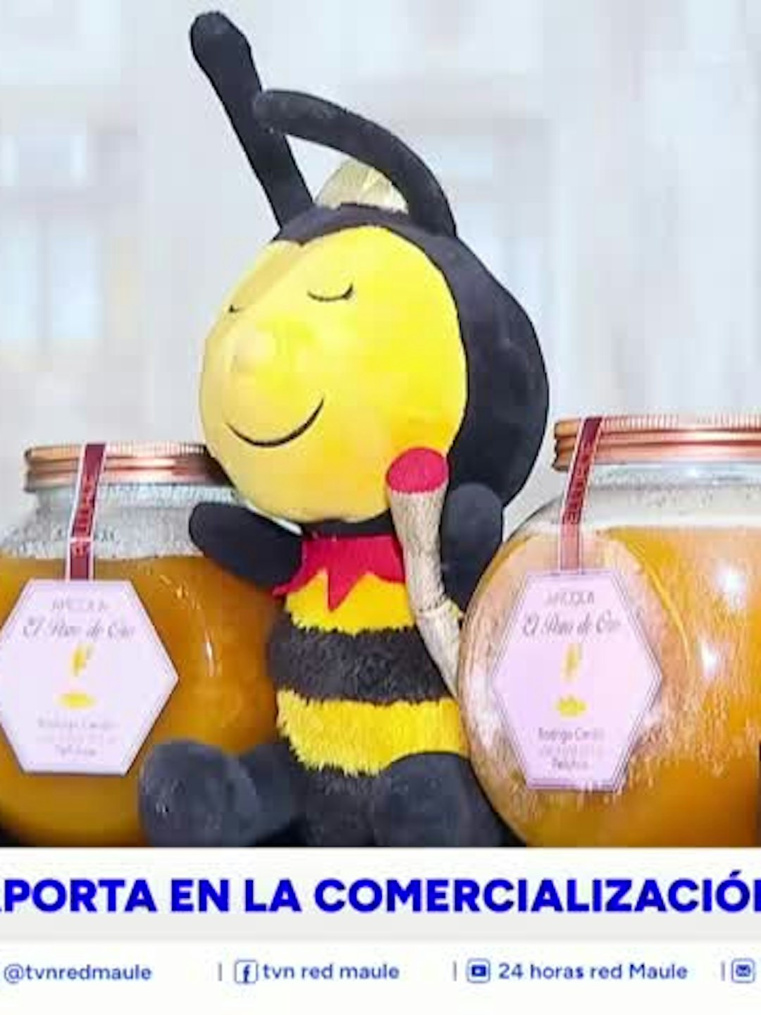 Productores de miel fueron parte de feria apícola regional