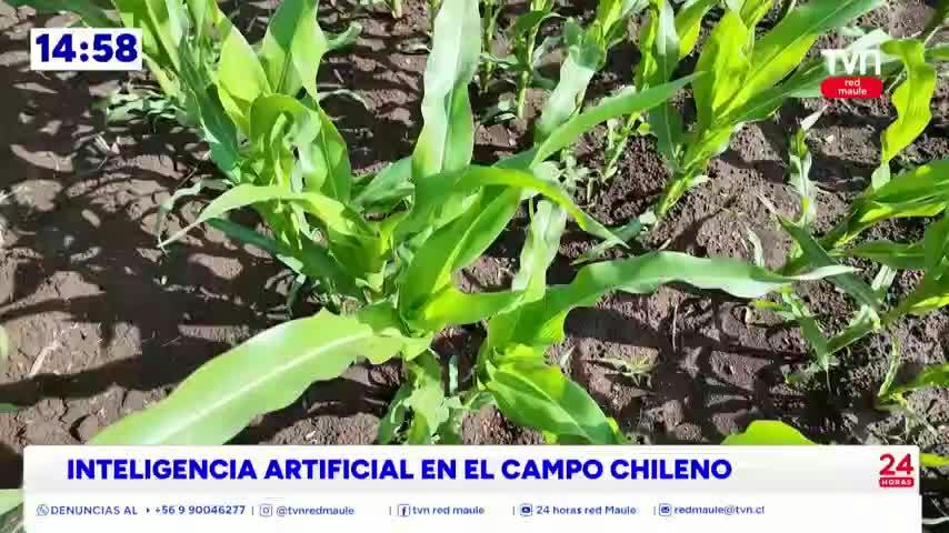 La tecnología llega al campo innovando los procesos productivos