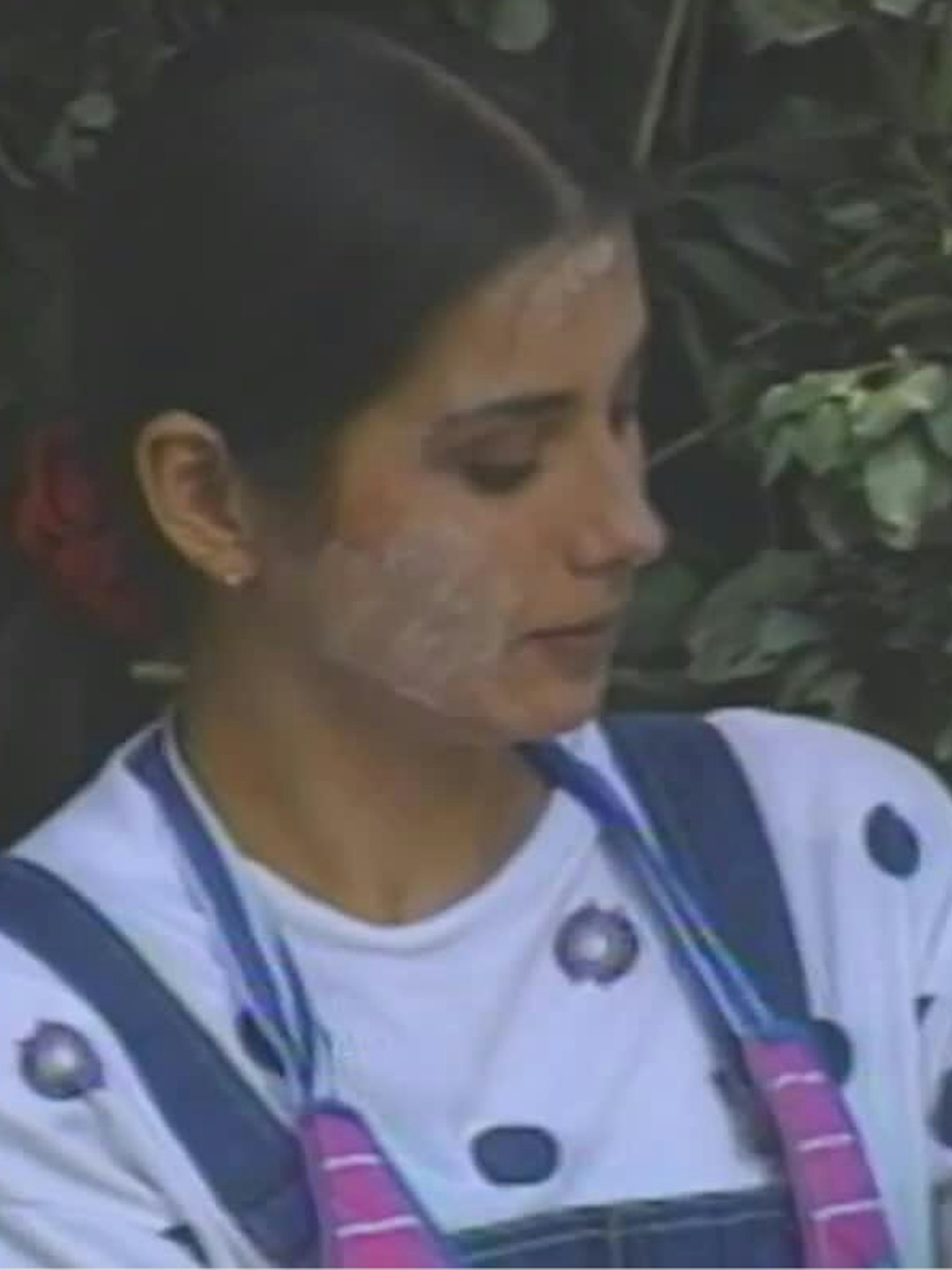 Arboliris - T2E8