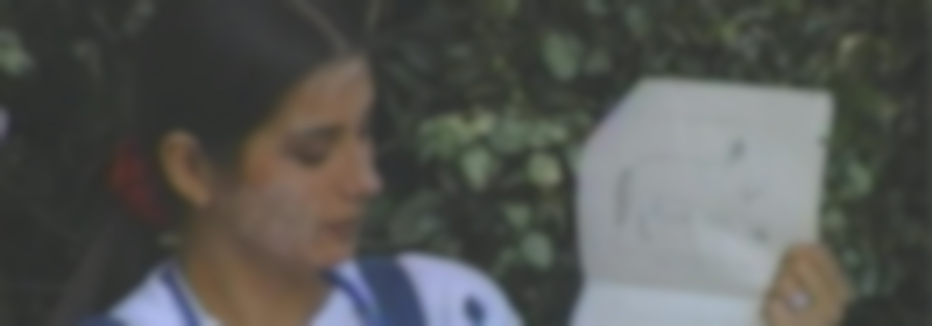 Arboliris - T2E8