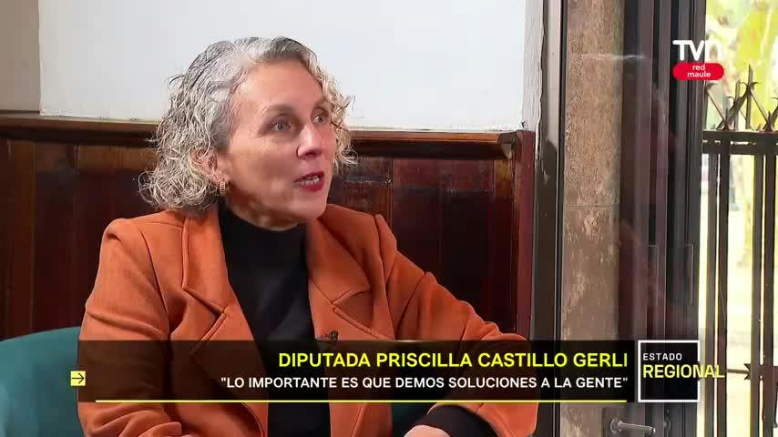 Priscilla Castillo Geldi, diputada Dc, Distrito 17