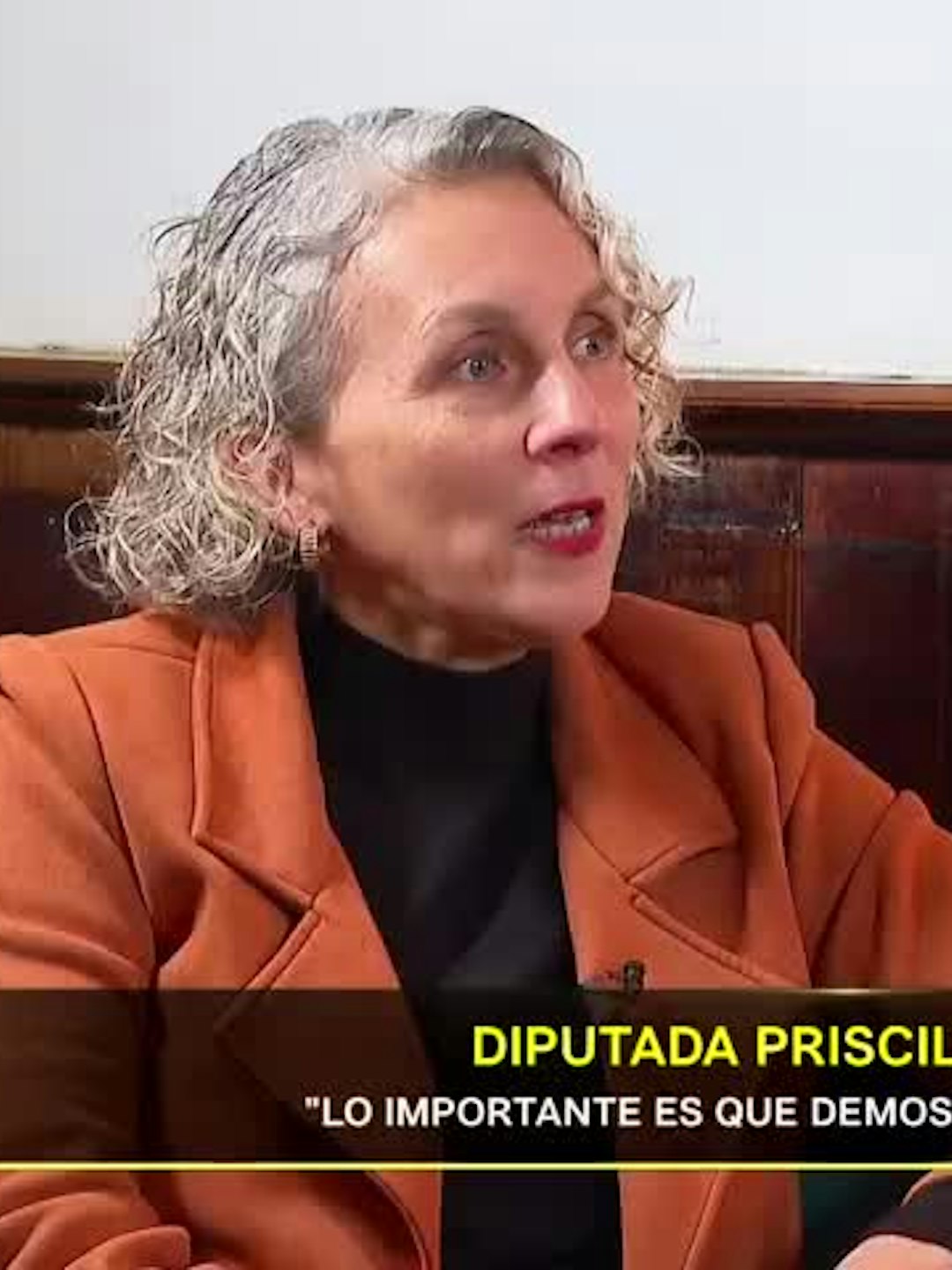 Priscilla Castillo Geldi, diputada Dc, Distrito 17