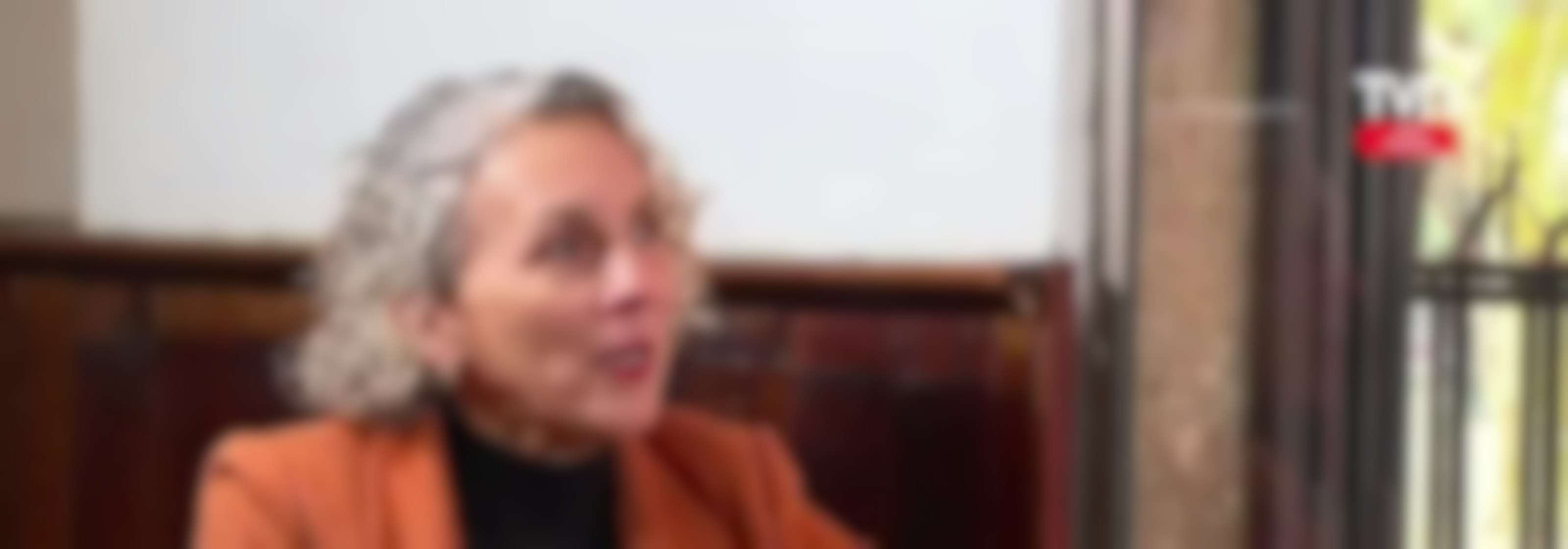 Priscilla Castillo Geldi, diputada Dc, Distrito 17