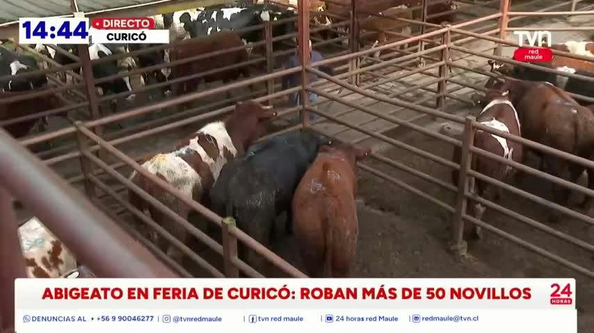 Nocheros fueron atados 
