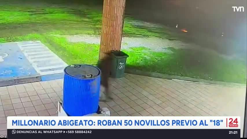 Millonario abigeato: Roban 50 novillos previo al "18"