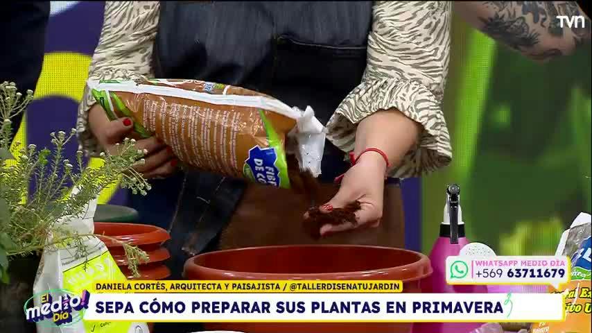 El Medio Día - Jueves 3 de septiembre de 2026