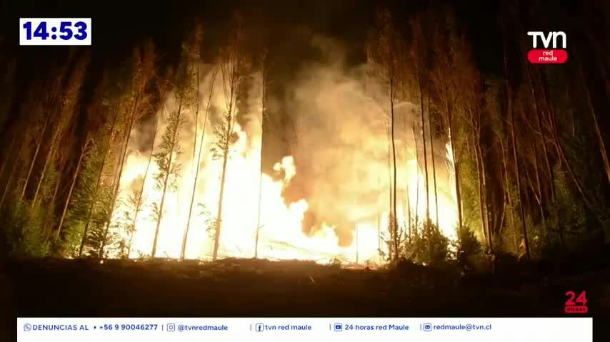 Iniciaron la estrategia de Prevención contra Incendios Forestales