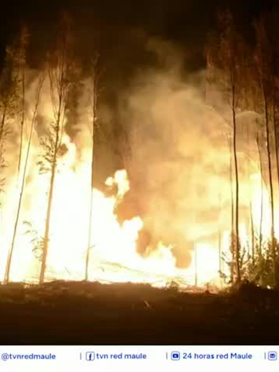 Iniciaron la estrategia de Prevención contra Incendios Forestales