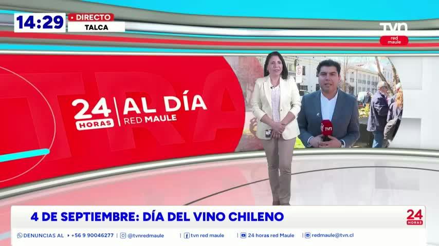 Día del Vino: El Maule celebra su tradición vitivinícola