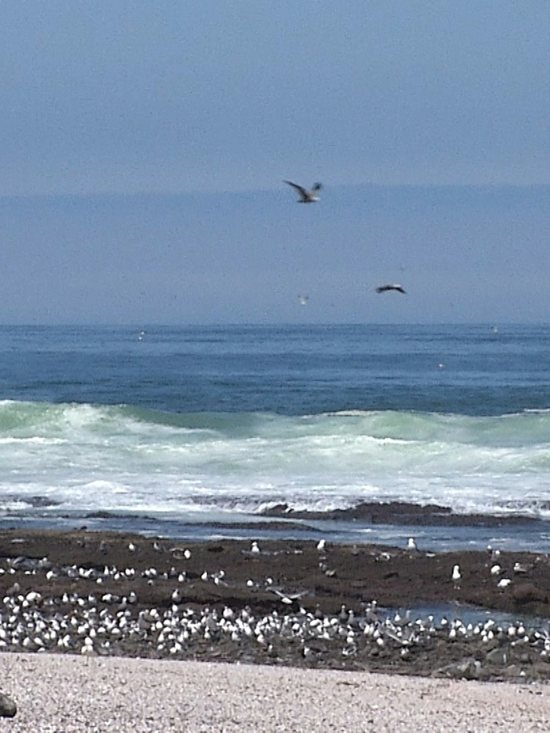 Fenómeno de "El Niño": Temperatura del mar registra un aumento de casi dos grados sobre lo normal