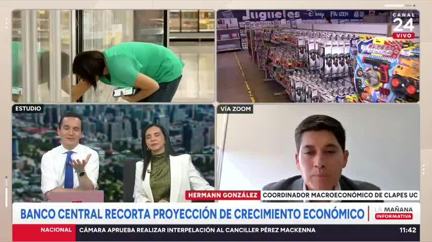 Banco Central baja proyección de crecimiento para 2026 : "Refleja que estamos en un mal momento"