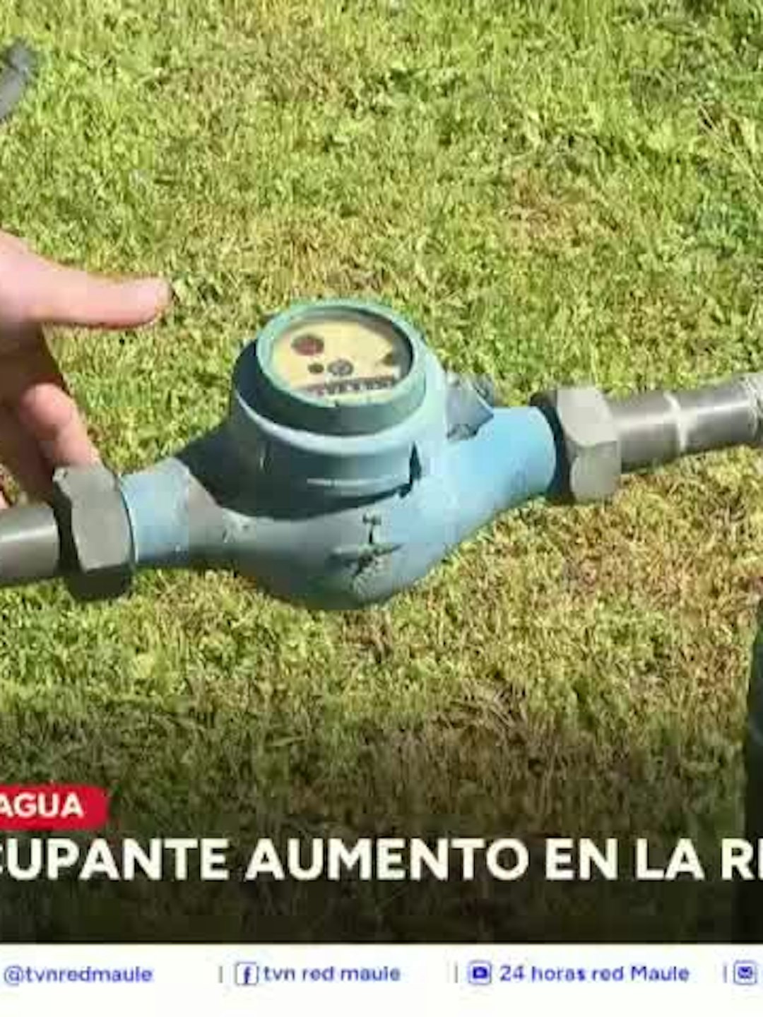 La siguiente es nuestra síntesis regional