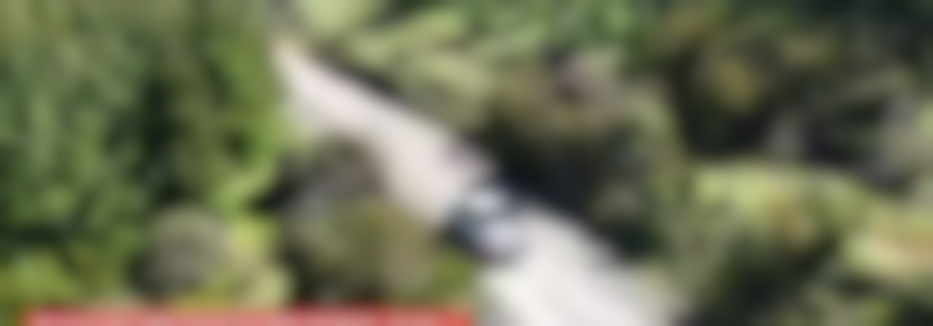 Está todo listo: pilotos ya hicieron el reconocimiento de ruta para el Mundial de Rally 2026